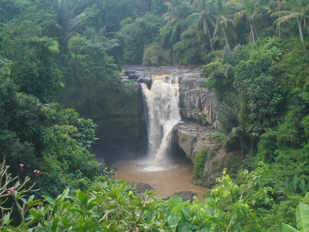 Sukawati Waterfall Guest House מראה חיצוני תמונה